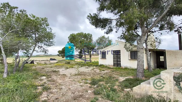 Spot image
