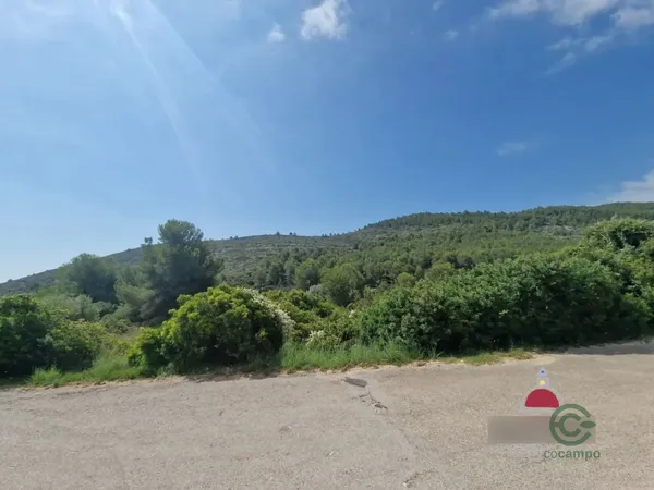 Spot image