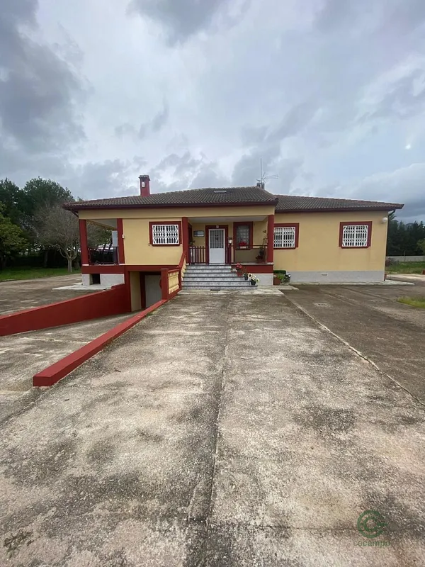 Spot image