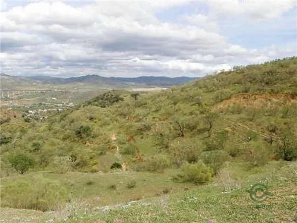Finca rústica de 29,1368 ha en venta en Alora, Málaga