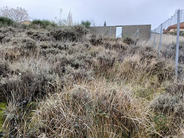Terreno urbano de 0,0955 ha en venta en Trijueque, Guadalajara