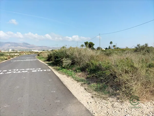 Spot image