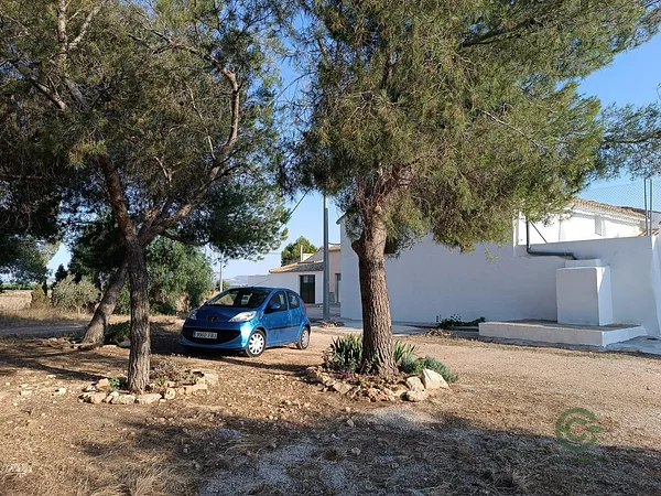 Spot image