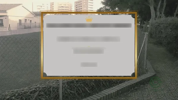 Spot image