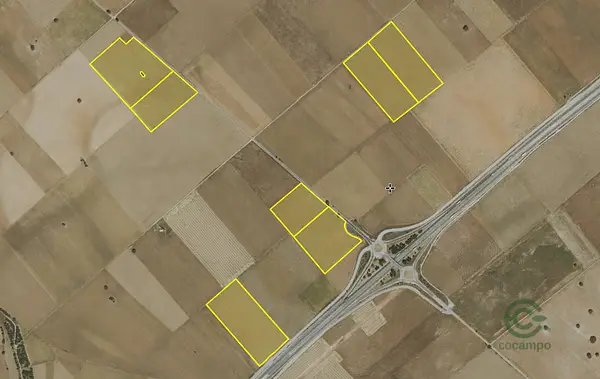 Spot image
