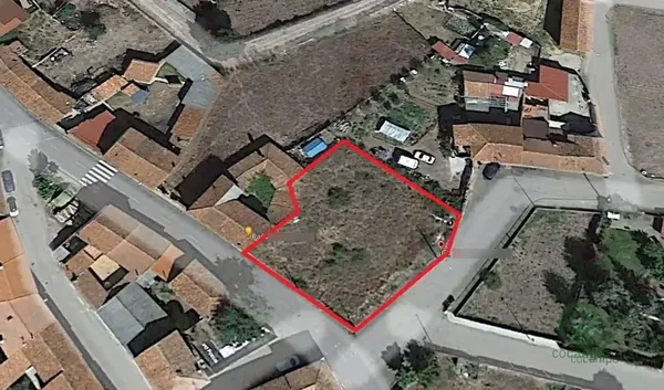 Spot image