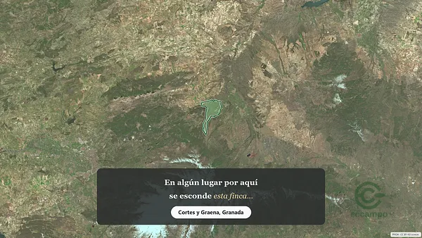 Spot image