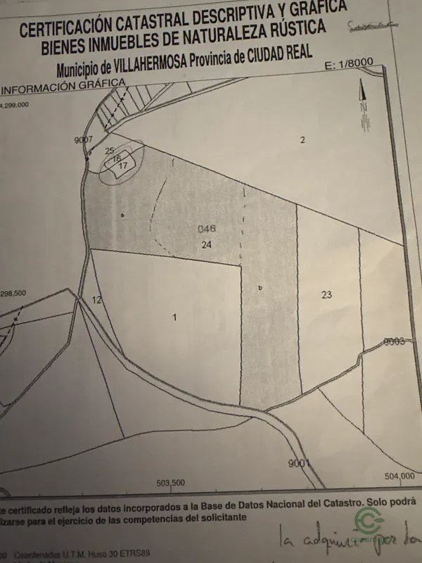 Spot image