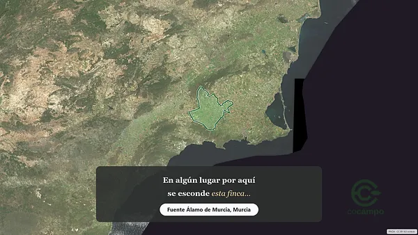 Spot image