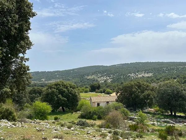 Spot image
