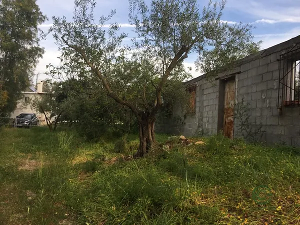 Spot image