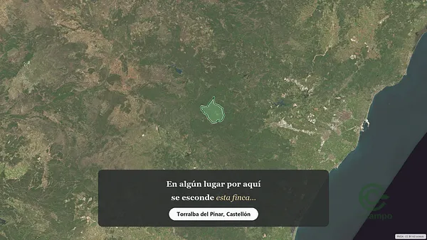 Spot image