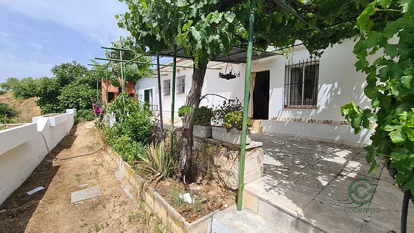 Spot image