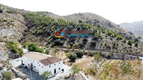 Spot image