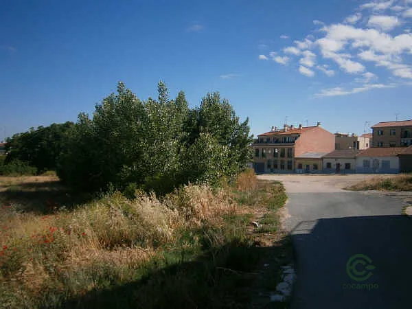 Finca rústica de 0,5115 ha en venta en Villamayor, Salamanca