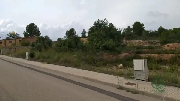 Spot image