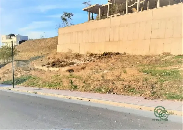 Spot image