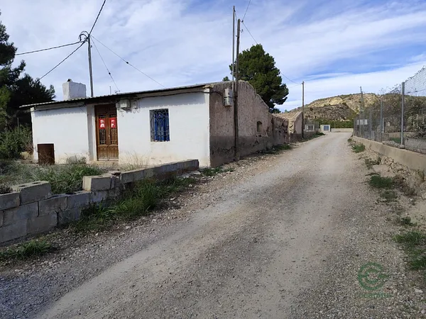 Spot image