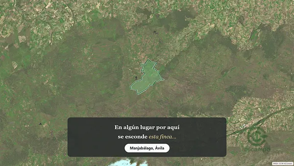 Spot image