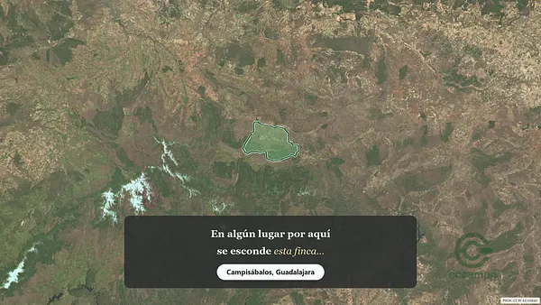 Spot image