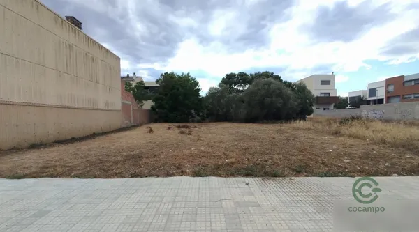 Spot image