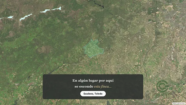 Spot image