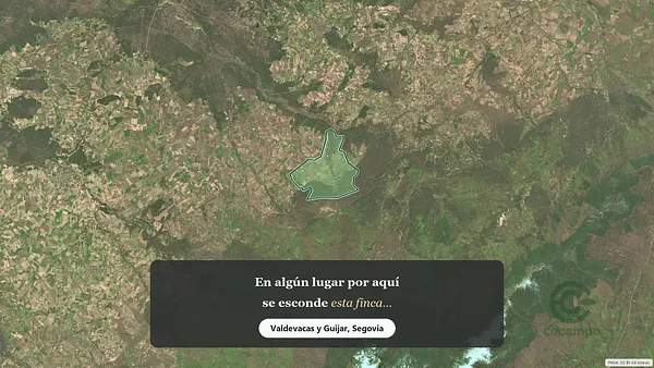 Spot image