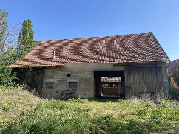 Spot image