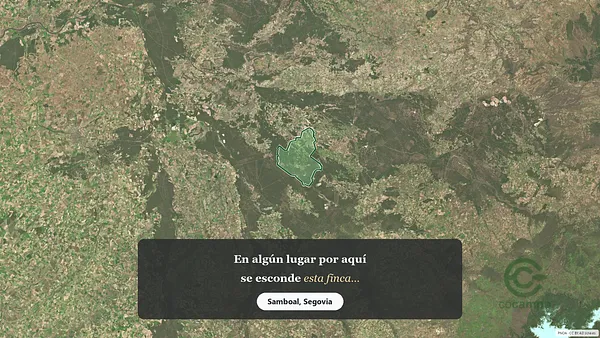 Spot image