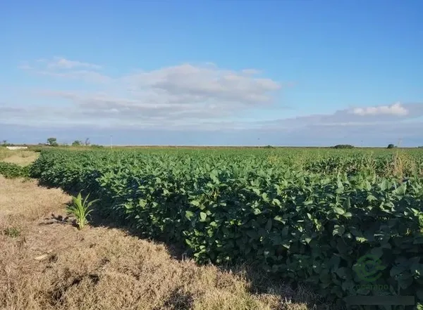 Finca rústica de 102,07 ha en venta en Córdoba
