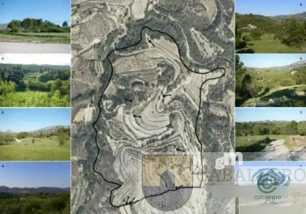 Spot image