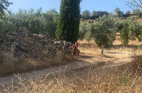 Finca rústica de 0,92 ha en venta en Alhama de Granada, Granada