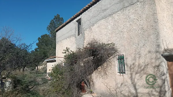 Spot image