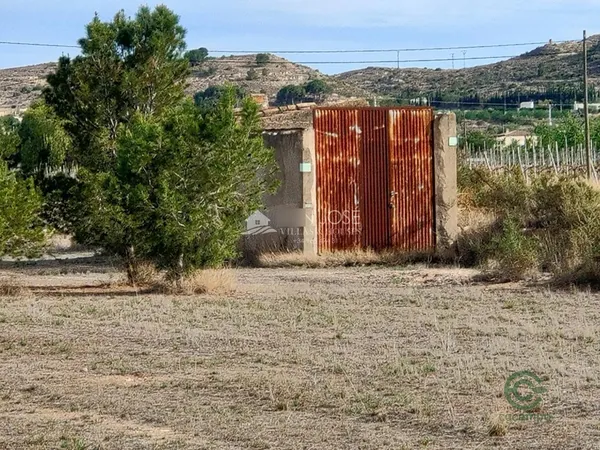 Spot image