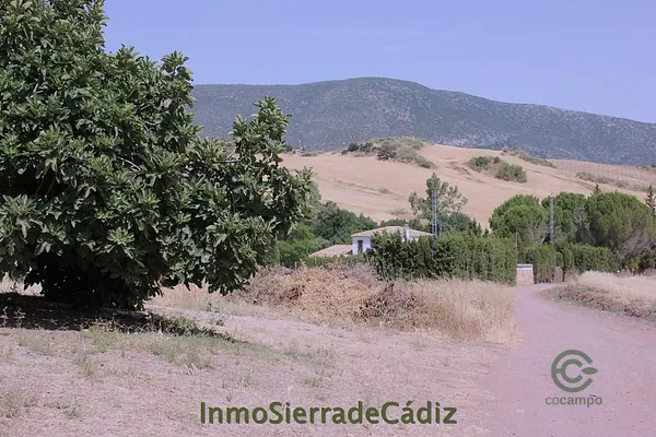 Spot image