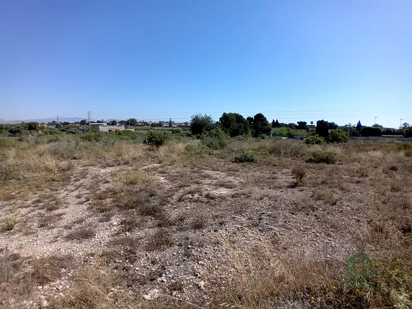 Spot image
