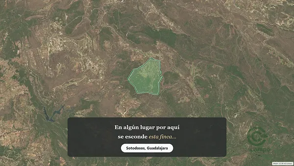 Spot image