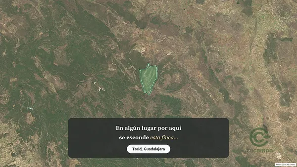Spot image