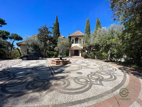 Spot image