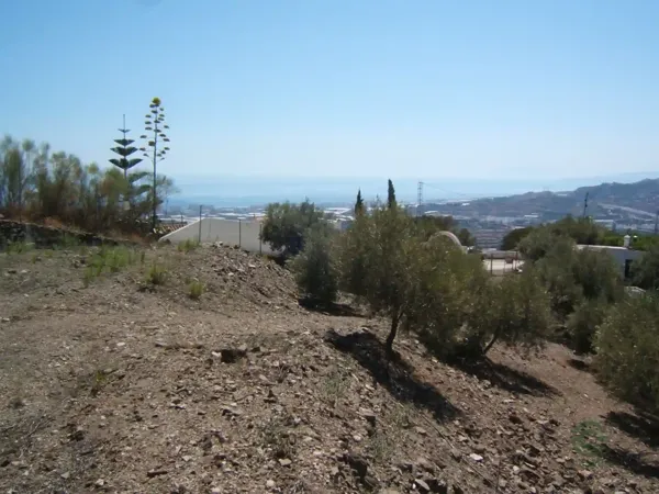 Spot image