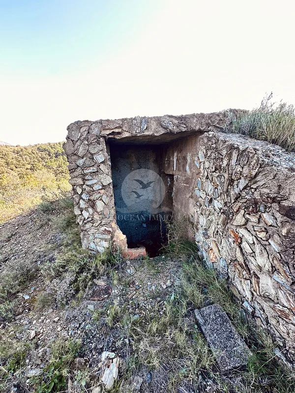 Spot image