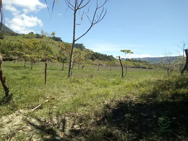 Finca rústica de 7 ha en venta en Boyacá