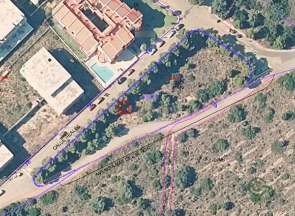 Spot image