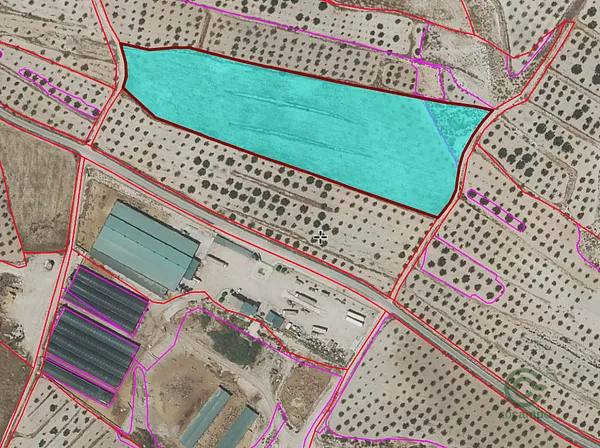 Spot image