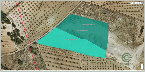 Spot image