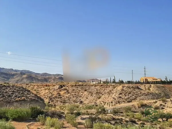 Spot image