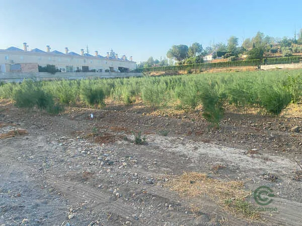 Finca rústica de 1,63 ha en venta en Láchar, Granada