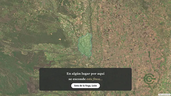 Spot image