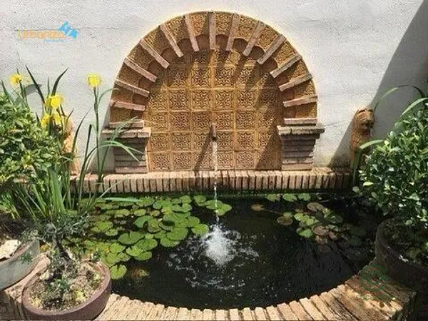 Spot image