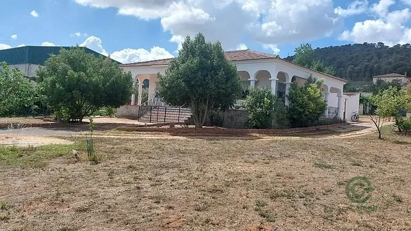 Spot image